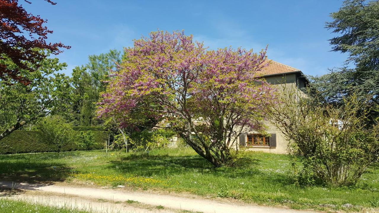 B&B Des Histoires D'Anges - Cote Jardin Tournus Esterno foto